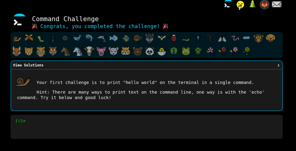 Command challenge